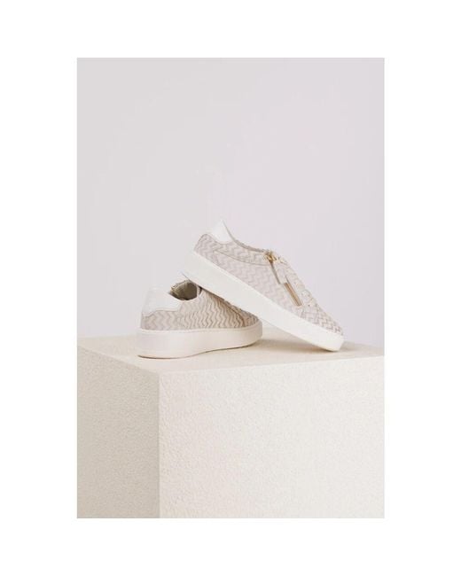DL SPORT® White Sneakers