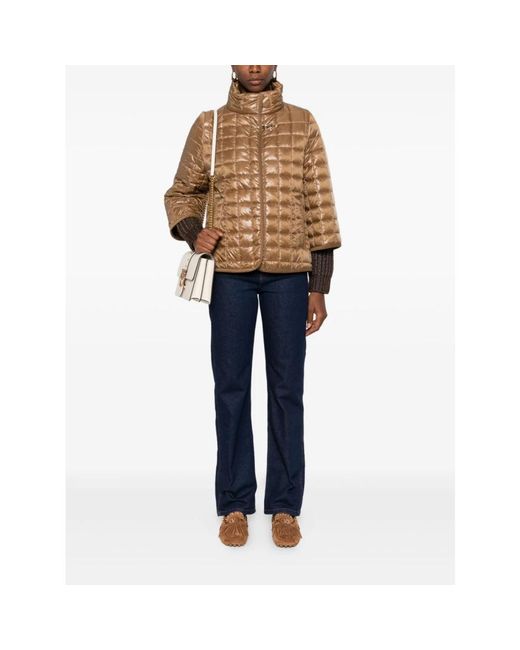 Winter Jackets Fay de color Brown