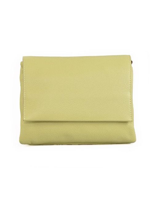 Gianni Chiarini Green Tasche