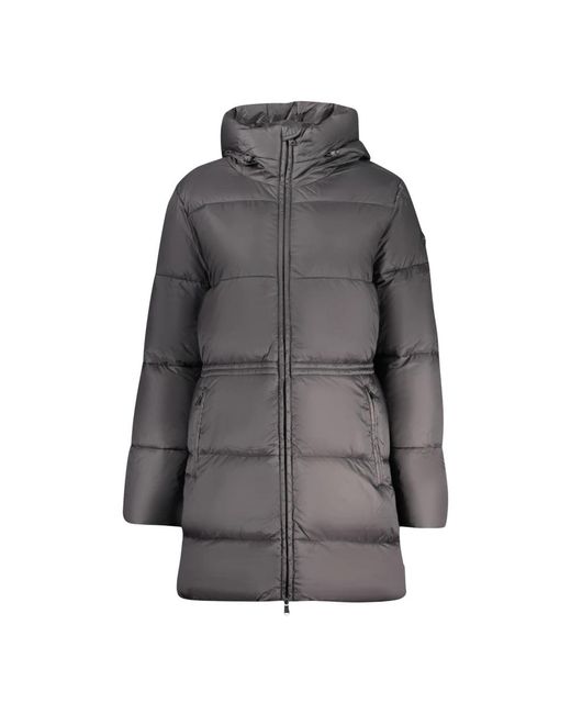 North Sails Jassen ,Zwart ,Leer Patten Padded Jacket in het Gray