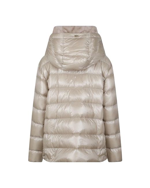 Winter Jackets Herno de color Gray