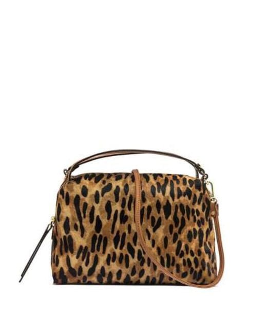 Gianni Chiarini Handbags in het Brown