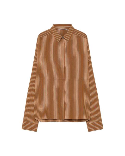 Pomandère Brown Shirts