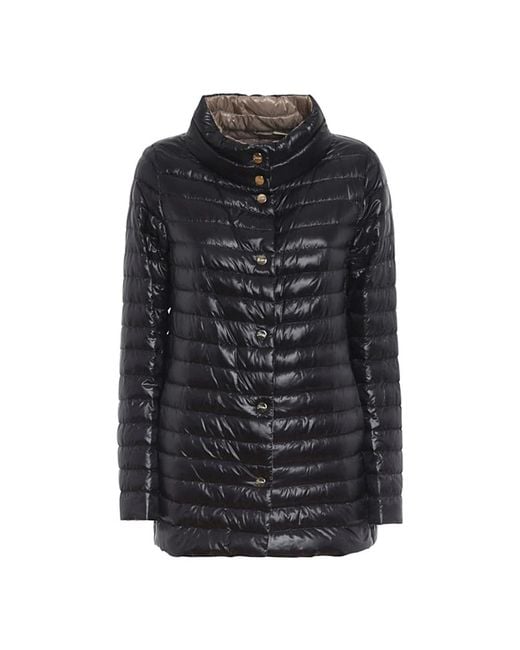 Herno Blue Down Jackets