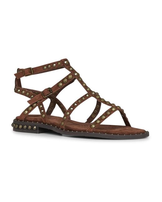 Flat Sandals Ash en coloris Brown