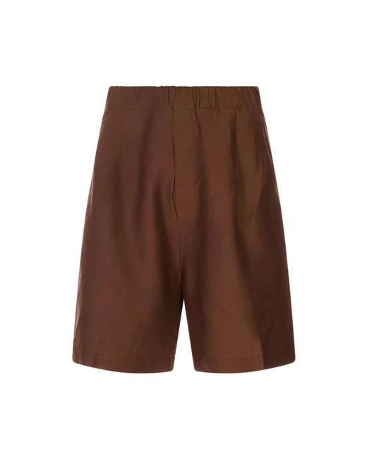 Laneus Brown Casual Shorts for men