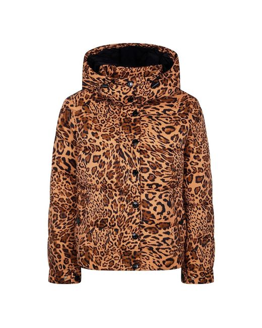 Twinset Winter Jackets in het Brown