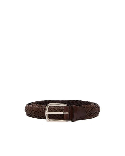 Orciani Brown Belts for men