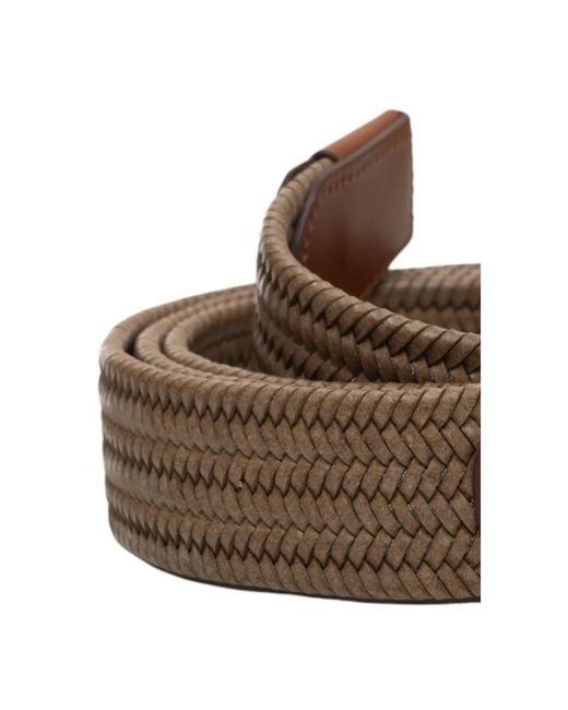 Canali Brown Belts for men