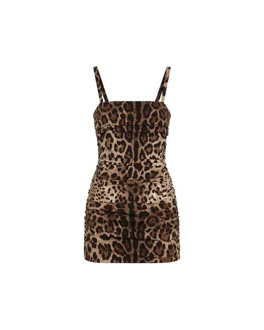 Dolce & Gabbana Brown Dolce & Gabbana Neutrals Dresses