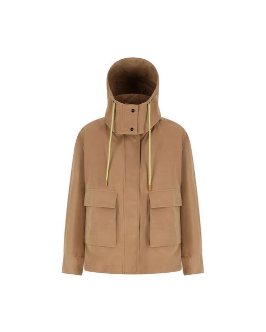 Winter Jackets di Herno in Brown