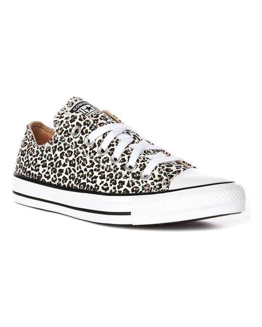 Converse White Sneakers