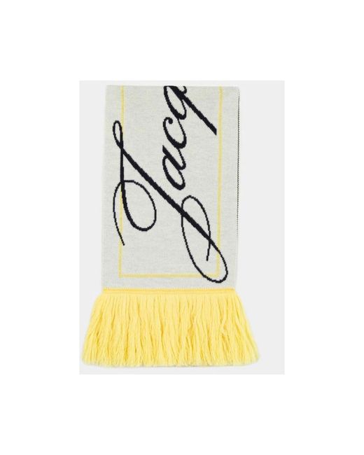 Jacquemus Winter Scarves in het Metallic
