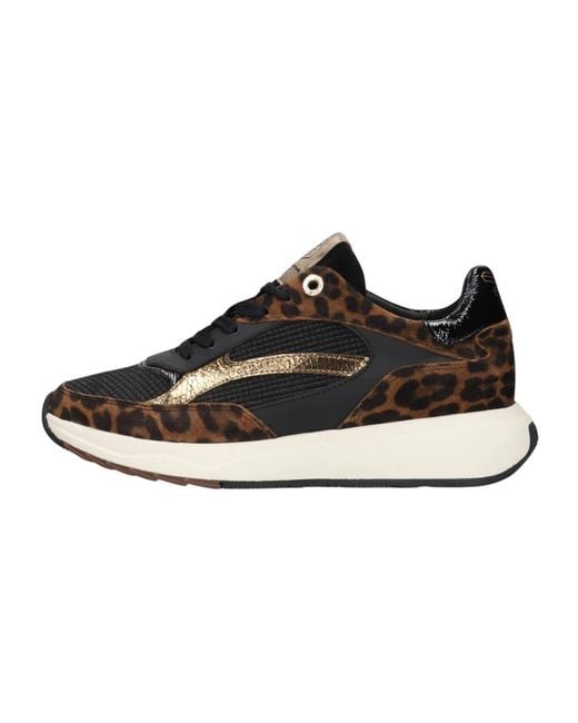 Floris Van Bommel Black Suvi Sneakers