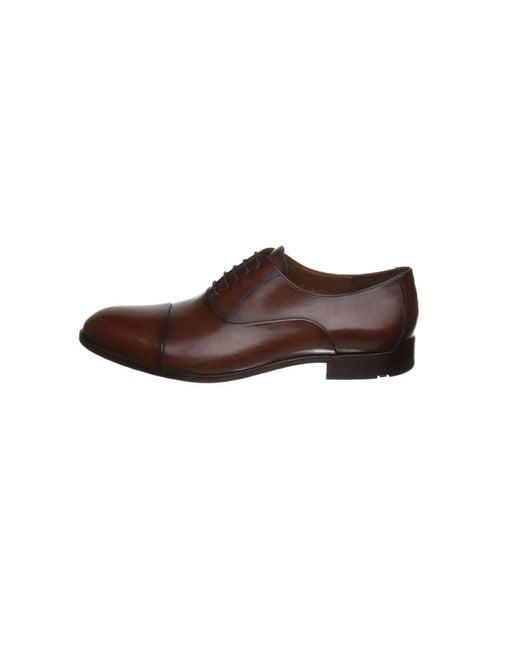 Lloyd Braune Herren Business Schnürschuhe in Brown für Herren