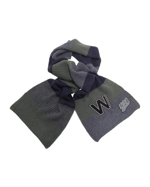 Max Mara Gray Winter Scarves