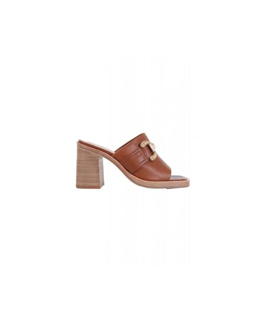Zinda Brown Heeled Mules