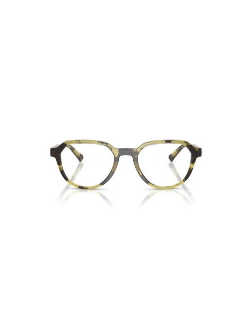Michael Kors Brown Glasses for men