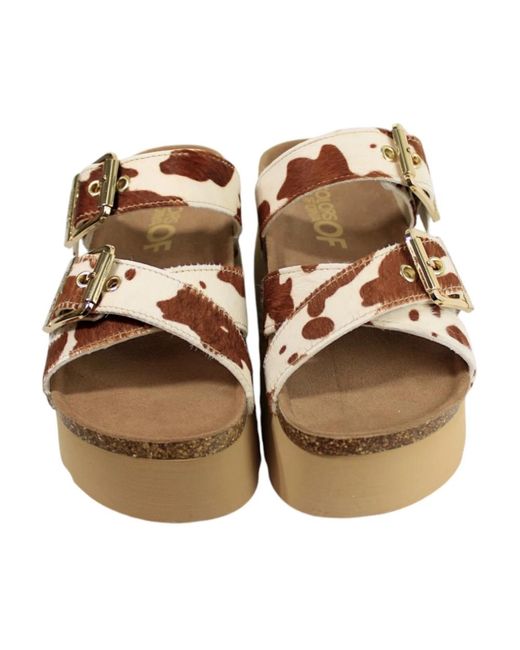 Colors Of California Brown Sliders