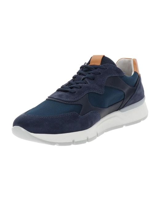 Shoes > sneakers Nero Giardini pour homme en coloris Blue