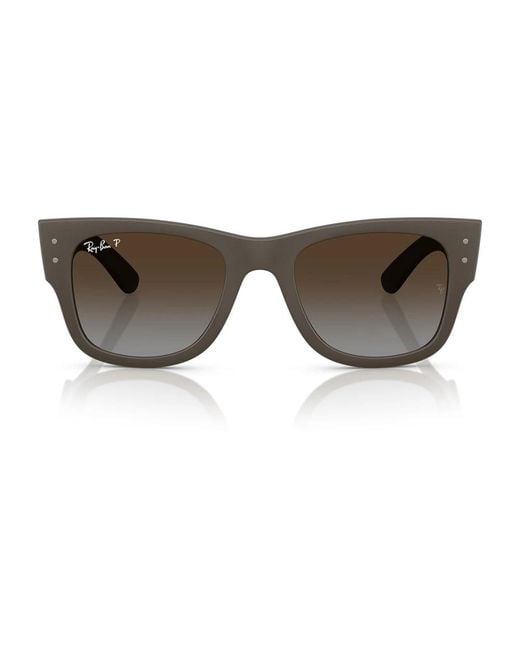 Ray-Ban Brown Sunglasses