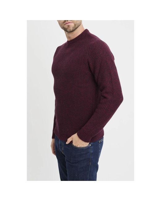 Daniele Fiesoli Purple Round-Neck Knitwear for men
