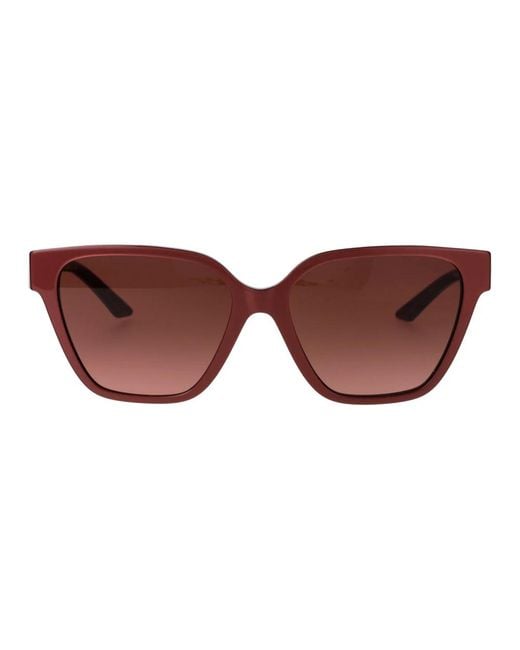 Versace Brown Sunglasses