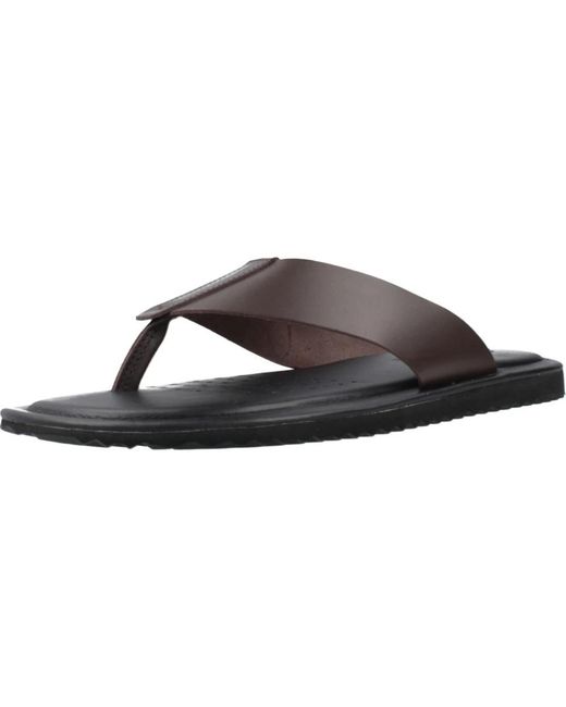 Geox U Erice in Brown für Herren