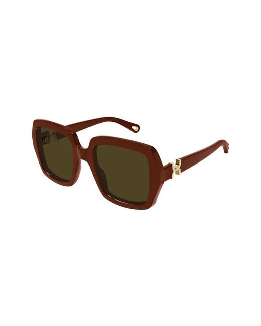 Chloé Brown Sunglasses