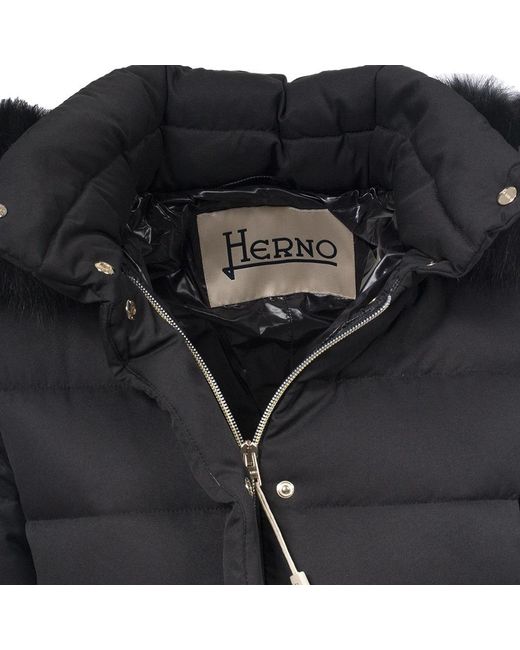 Herno Black Down Coats