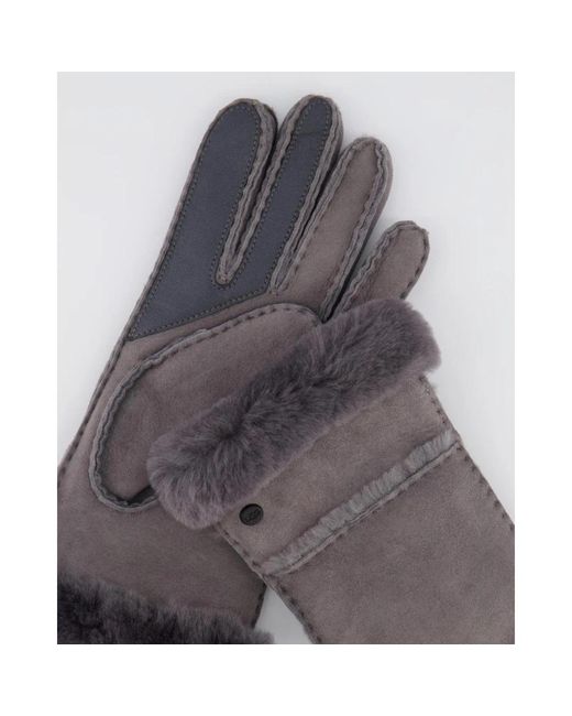 Ugg Gray Gloves