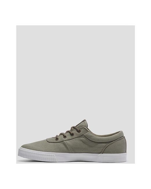 Timberland Gray Sneakers for men
