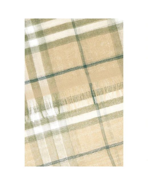 Burberry Green Stilvolle Schals Und Tücher Kollektion