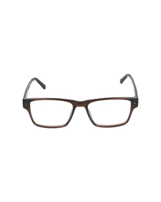Calvin Klein Brown Glasses for men