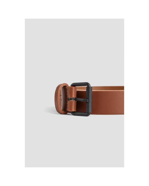 Sofie D'Hoore Brown Belts