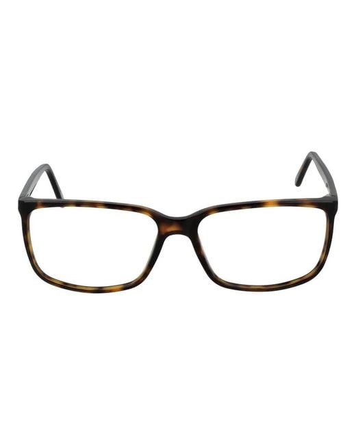 Andy Wolf Black Glasses