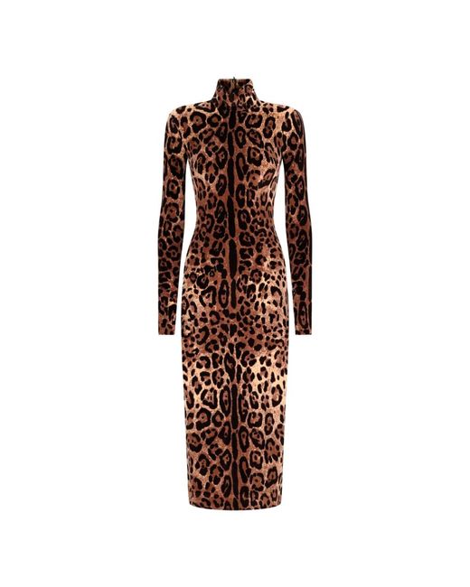 Dolce & Gabbana Brown Midi Dresses