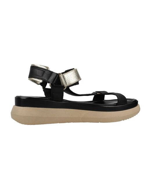 Flat Sandals di Mjus in Black