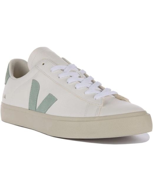 Veja White Sneakers