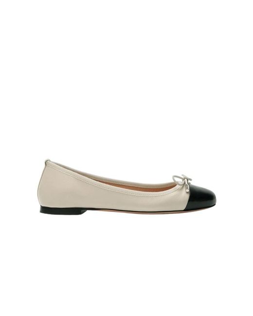 Scarosso Gray Ballerinas