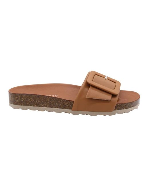 Verbenas Brown Sliders