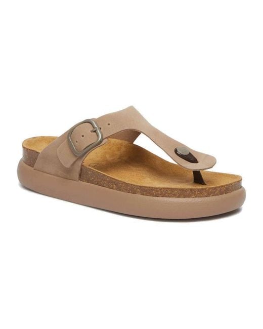 Scholl Brown Flip Flops