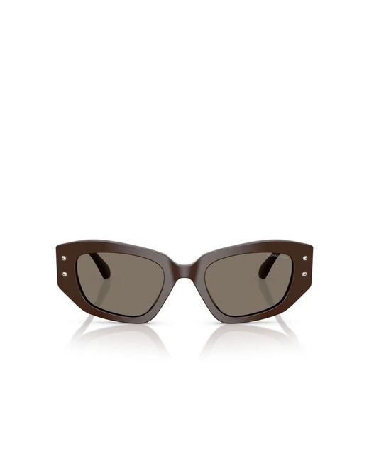 Michael Kors Brown Sunglasses