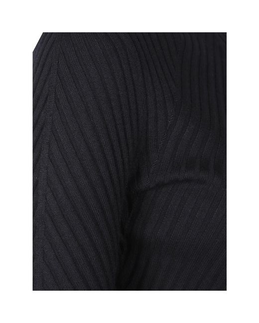 Victoria Beckham Blue Turtlenecks