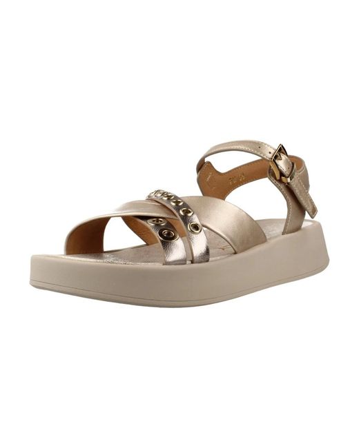 Wedges Stonefly de color Brown
