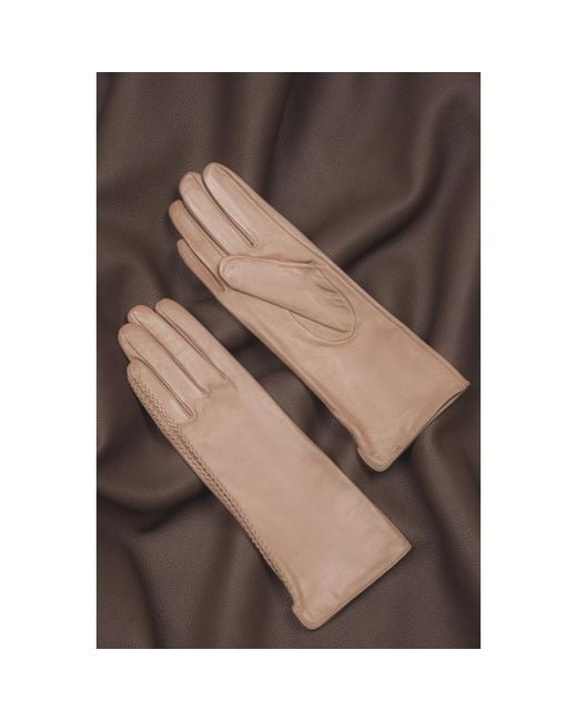 ESTRO Gray Gloves