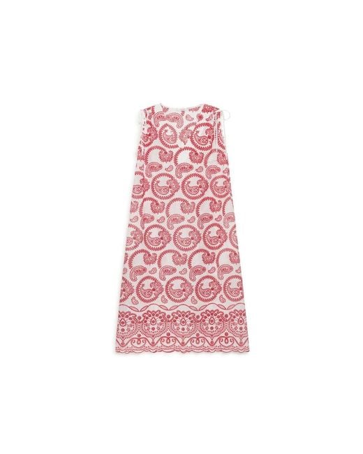 Maliparmi Pink Midi Dresses