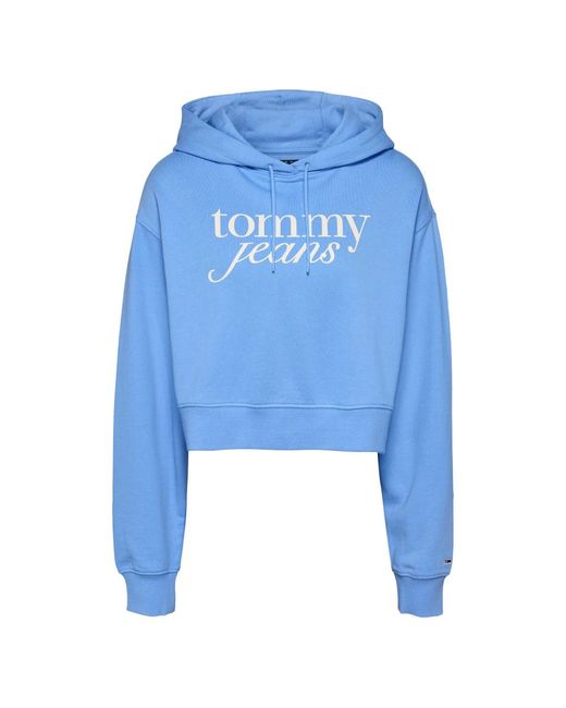 Hoodies di Tommy Hilfiger in Blue