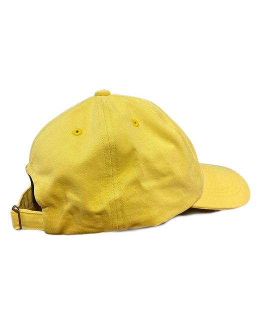 La Paz Yellow Caps