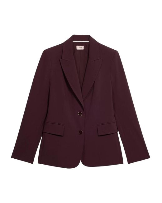 Blazers Oltre de color Purple